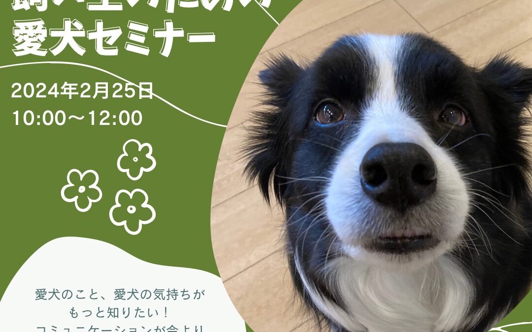 2024年2月25日(日)「飼い主のための愛犬セミナー」のお知らせ in福岡県北九州市
