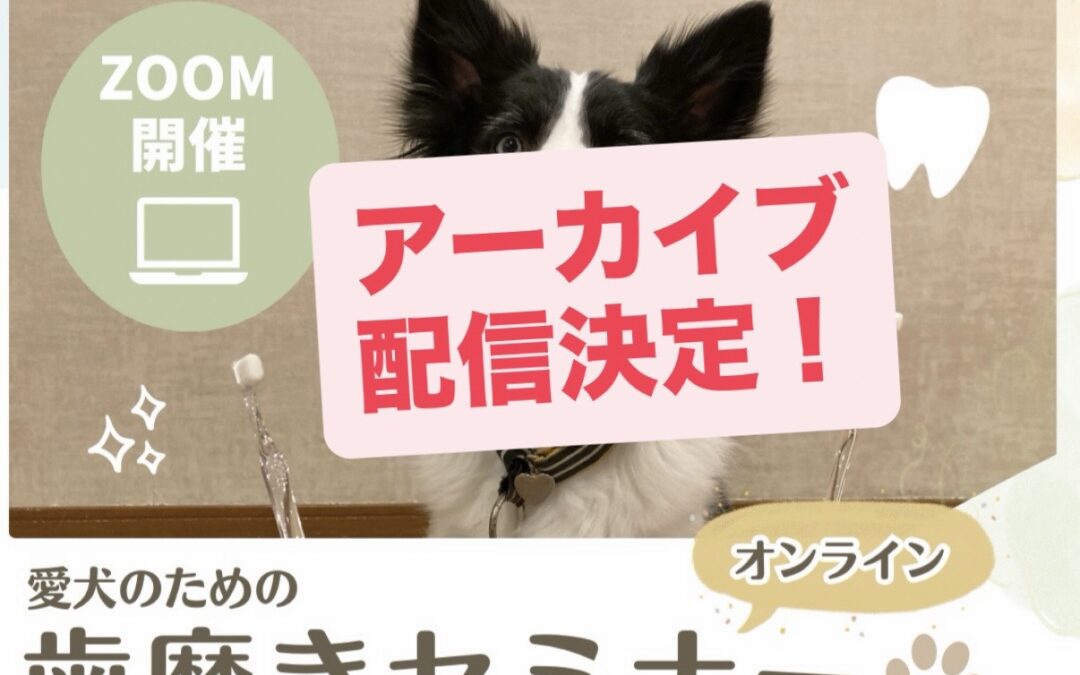 オンライン歯磨きセミナー【アーカイブ配信】決定！