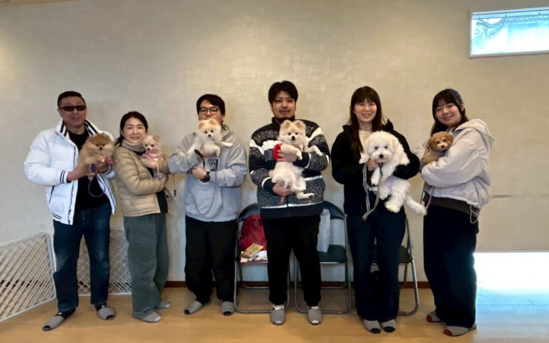 3月のパピーパーティ開催のお知らせ